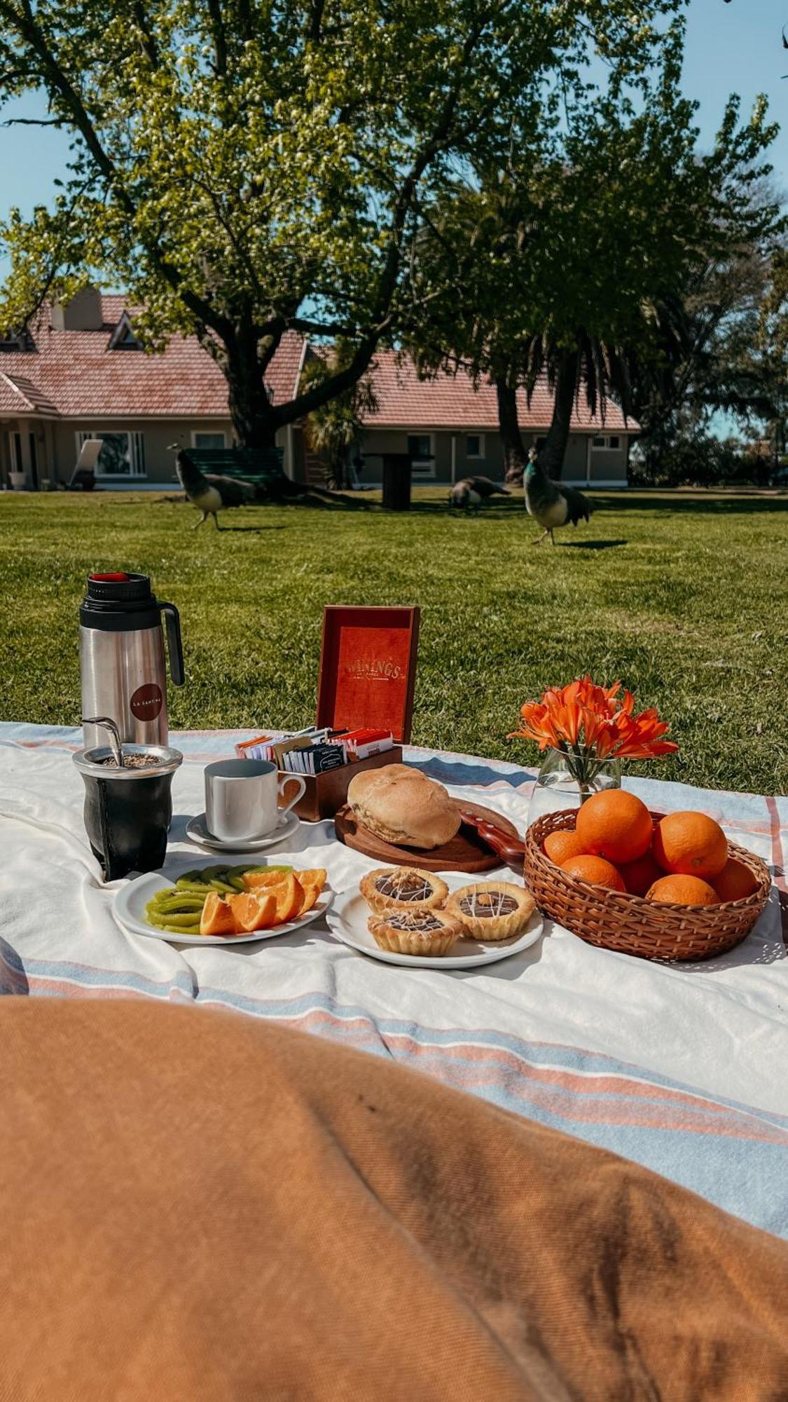 La Santina Posada & Experiencias De Campo San Pedro  Esterno foto